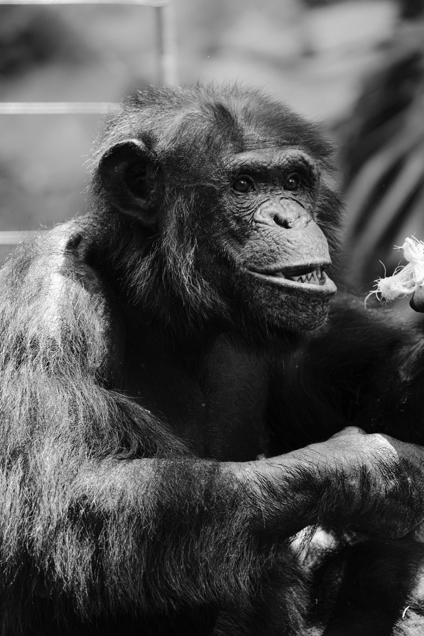 kyle-scharf-animal-photographer-02.JPG