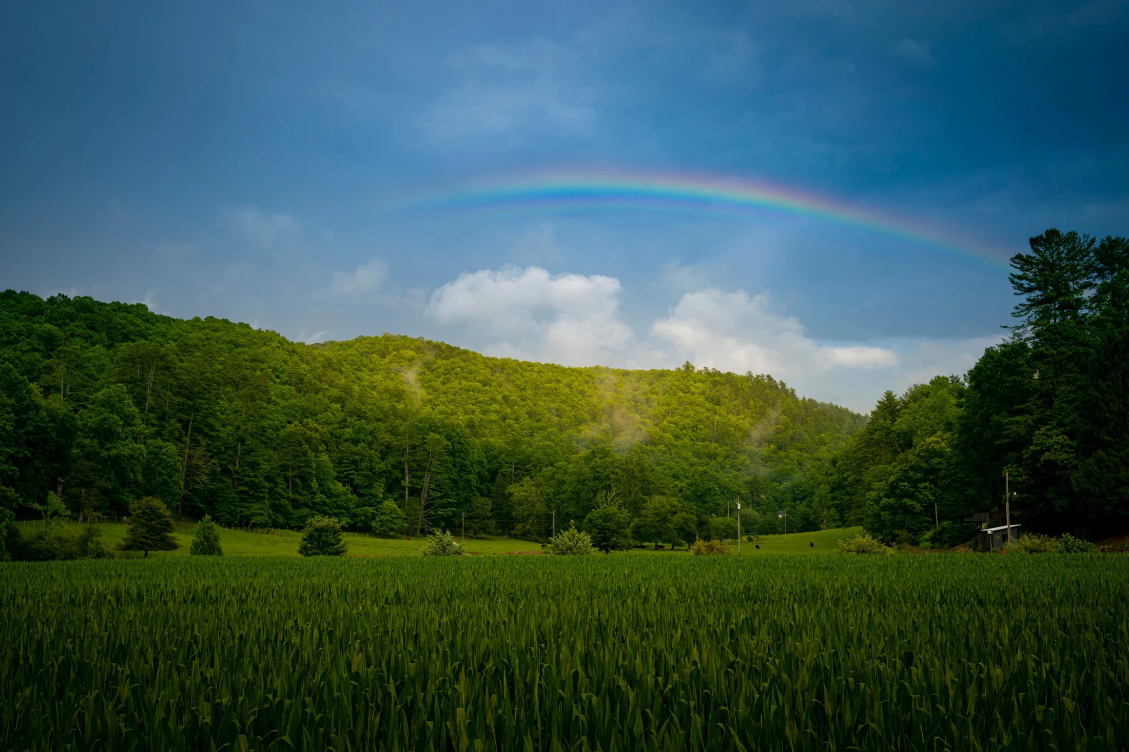 Pisgah-Landscape-Photogrpaher-1.jpg