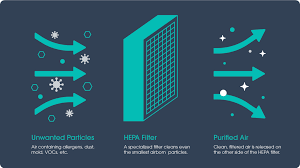 Odor / Ozone Treatment