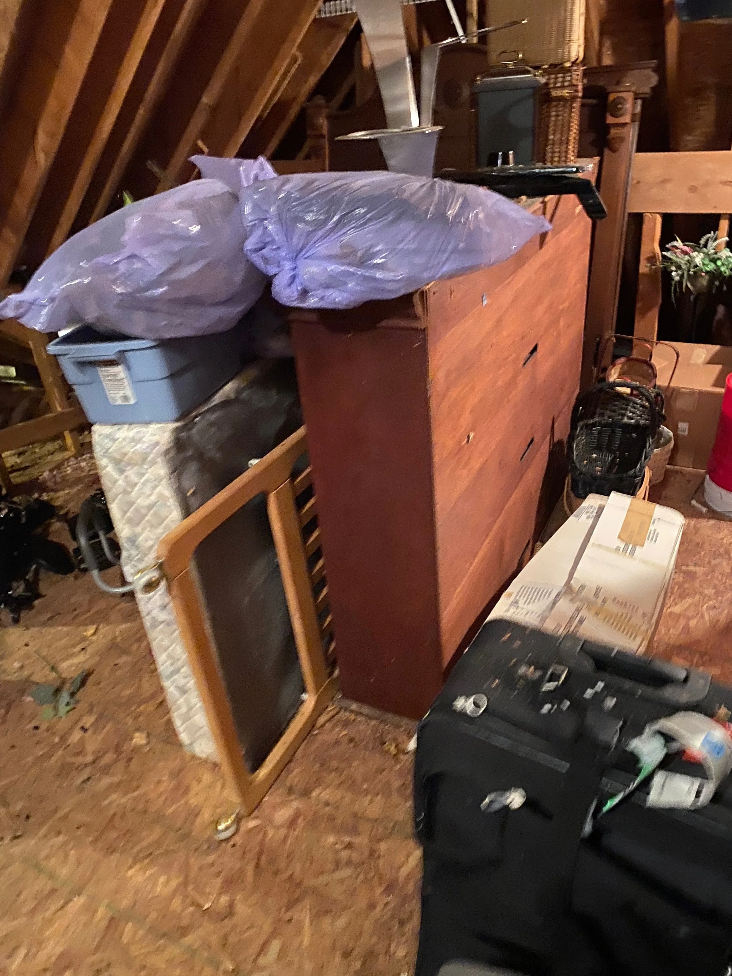 Oranssi project: passive house