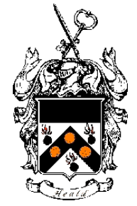 A detailed coat of arms with a shield, a lion, and a heart-shaped sword above it.