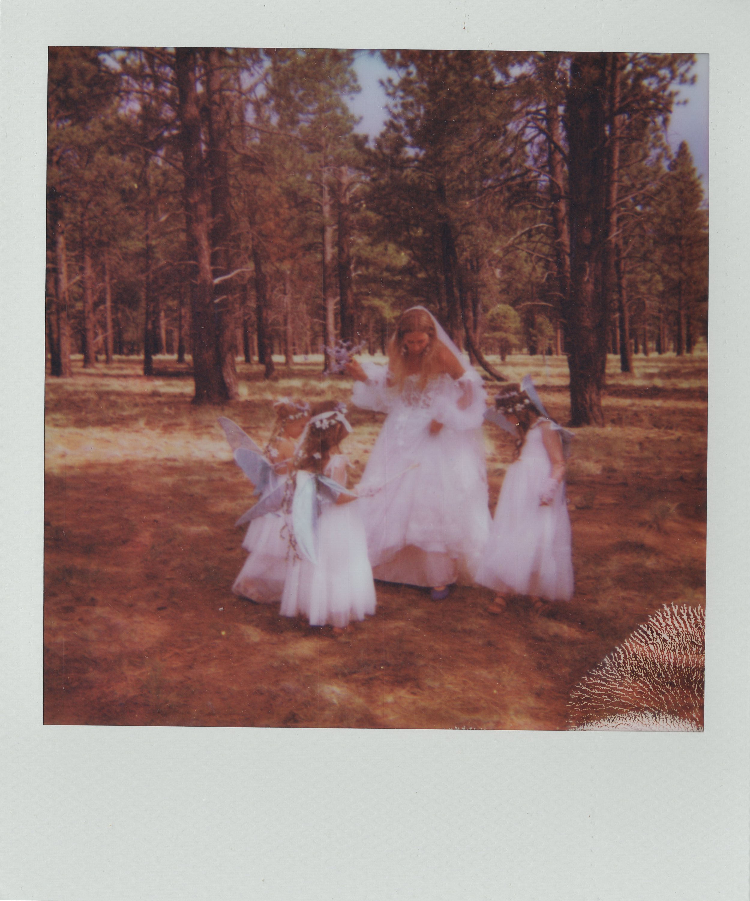 jenni and ben wedding polariod 12.1.jpg