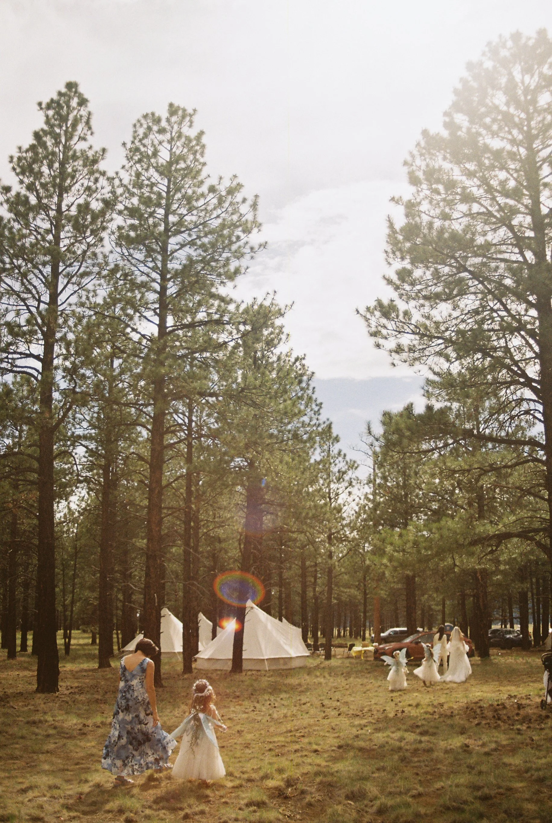 160.jpg