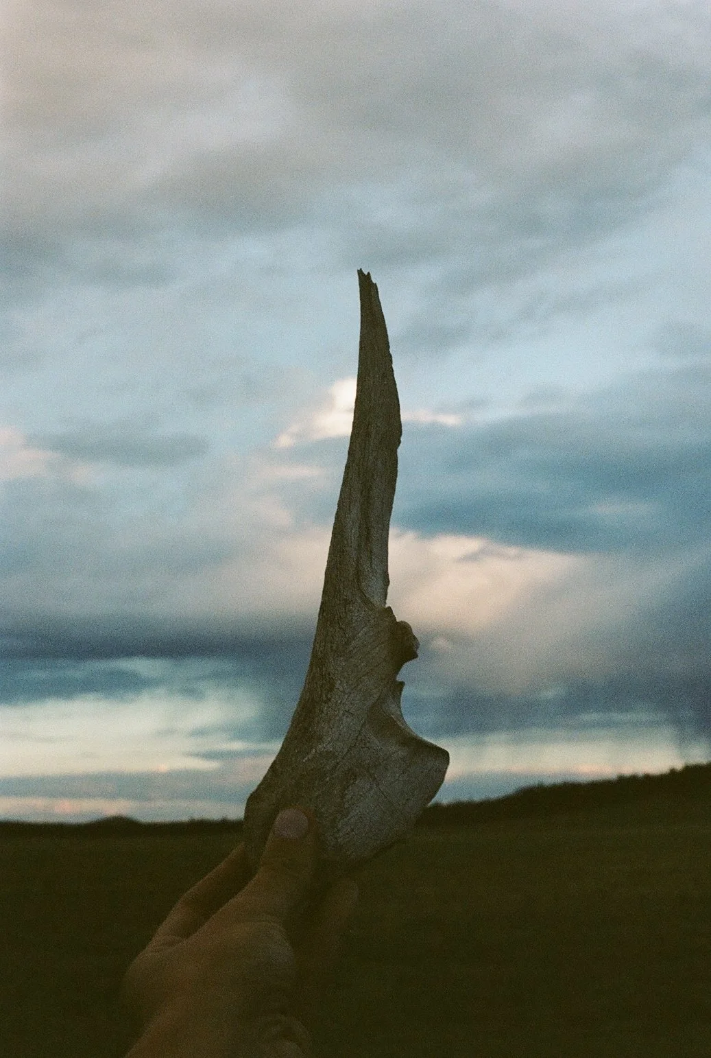 000457170021_16A.jpg