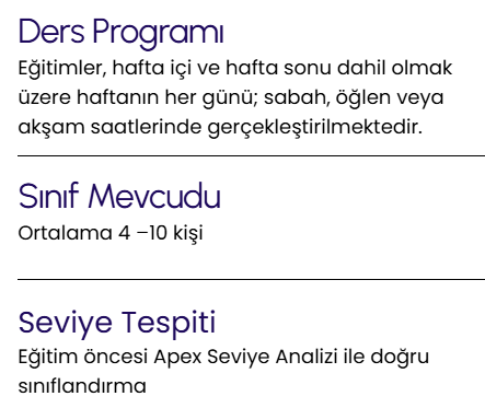 Screenshot of a program schedule in Turkish outlining class details, level assessment, and class size.