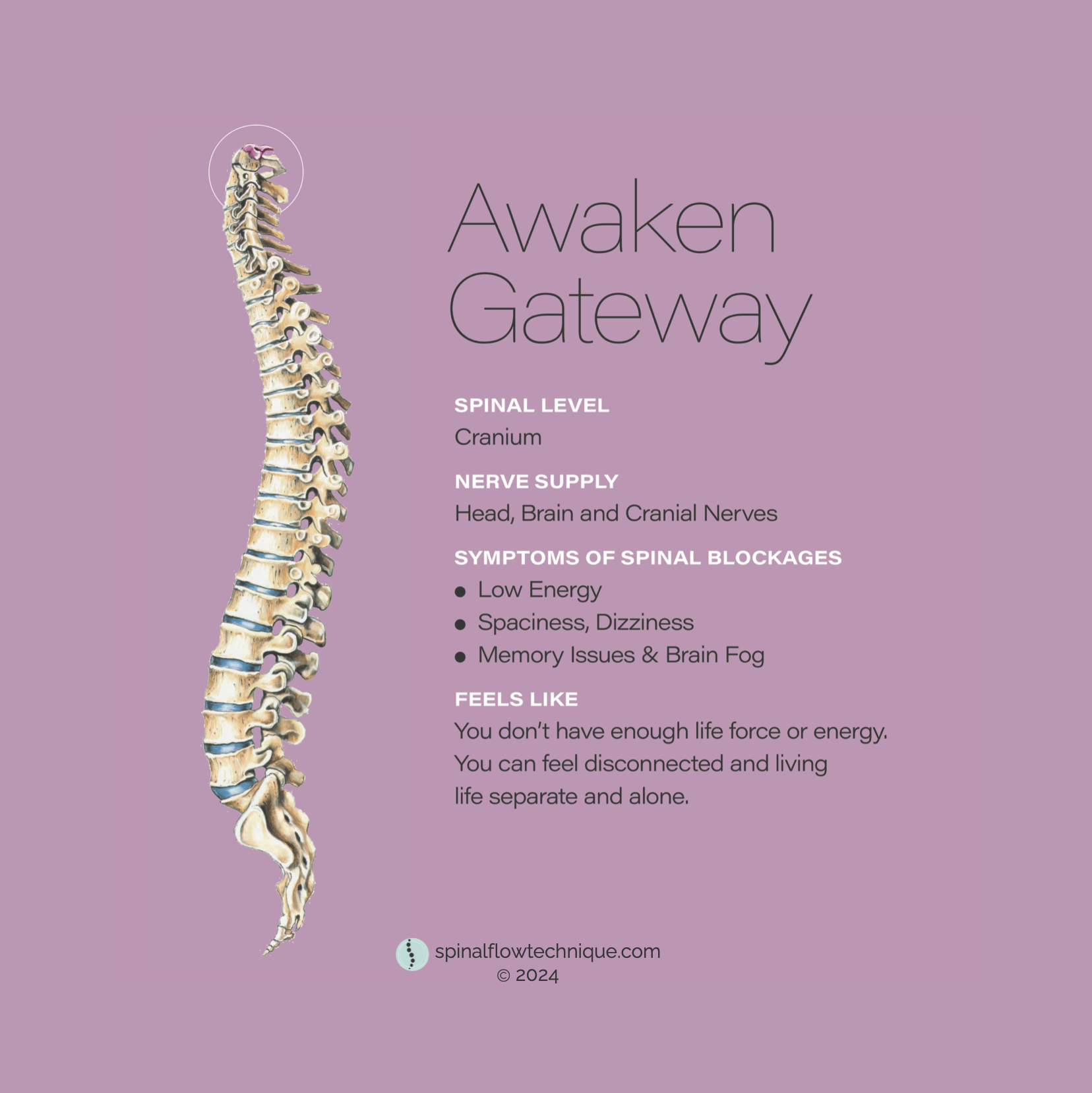 Spinal Flow Technique Awaken Gateway