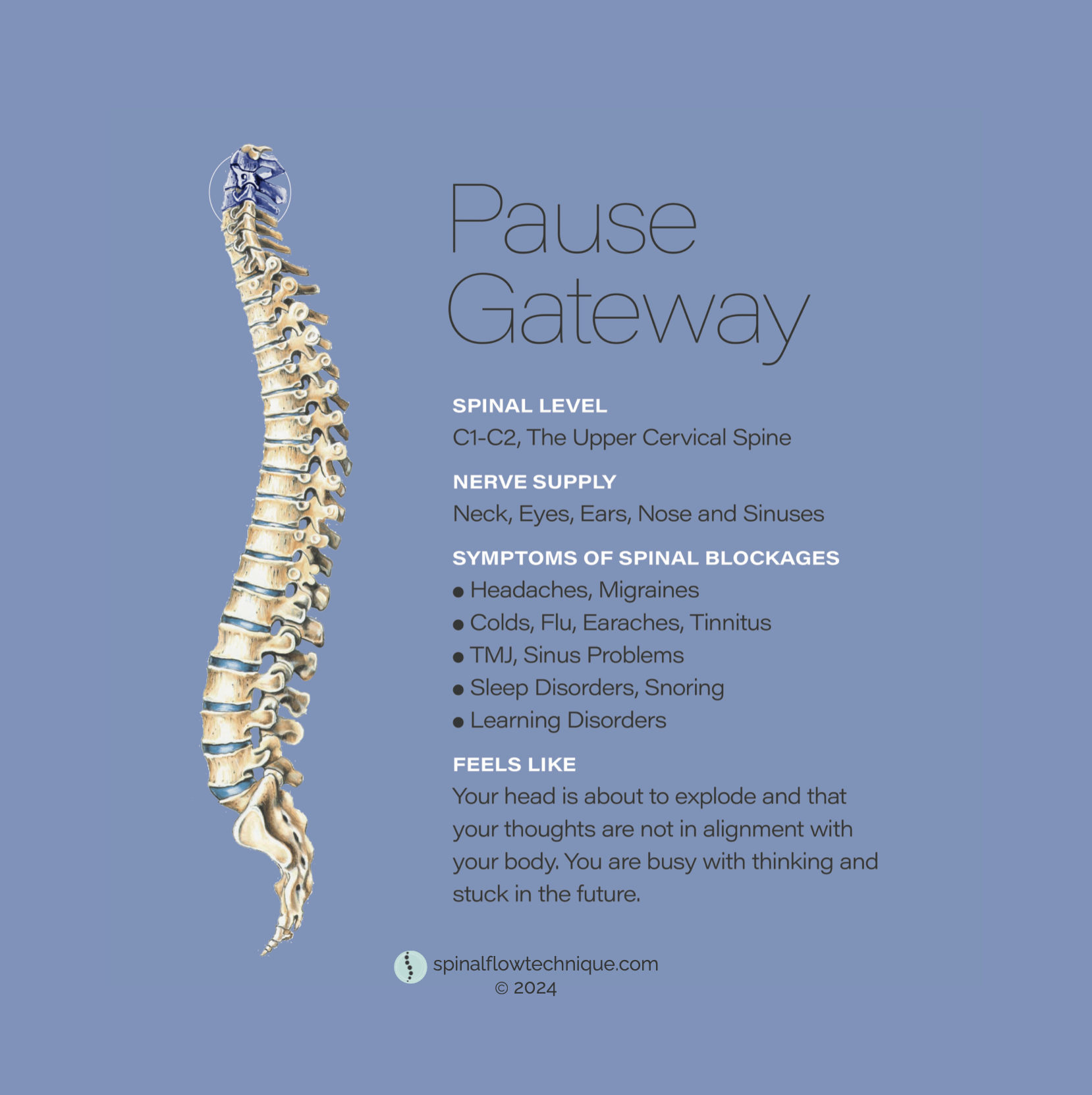 Spinal Flow Technique Pause Gateway