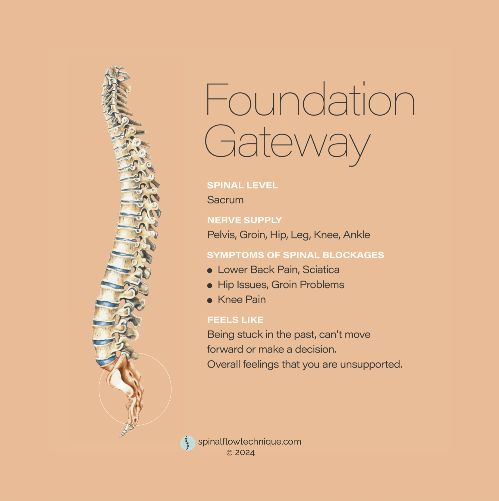 Spinal Flow Technique Foundation Gateway