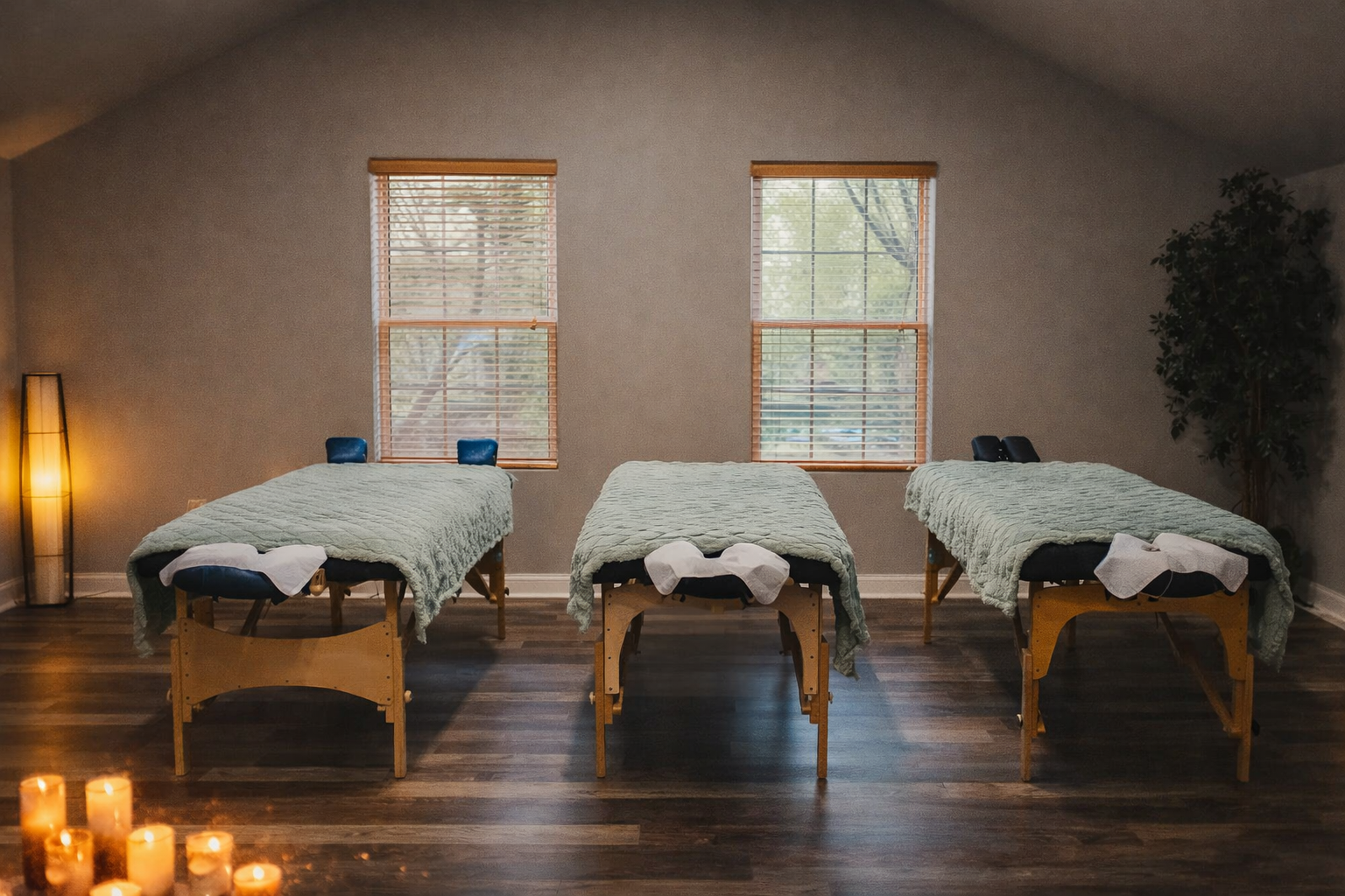 Northville Optimal Wellness Therapy Space Setup