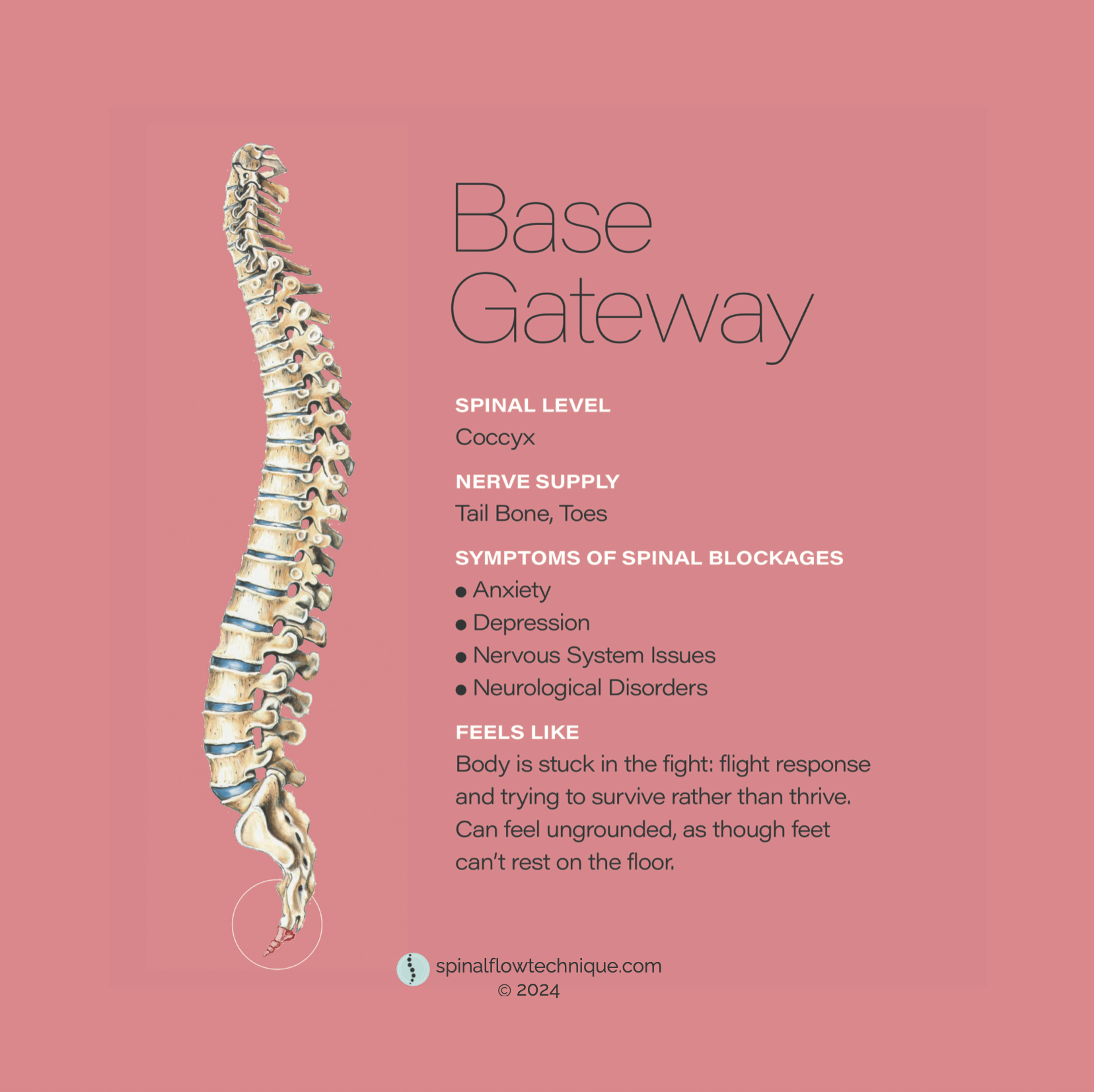 Spinal Flow Technique Base Gateway