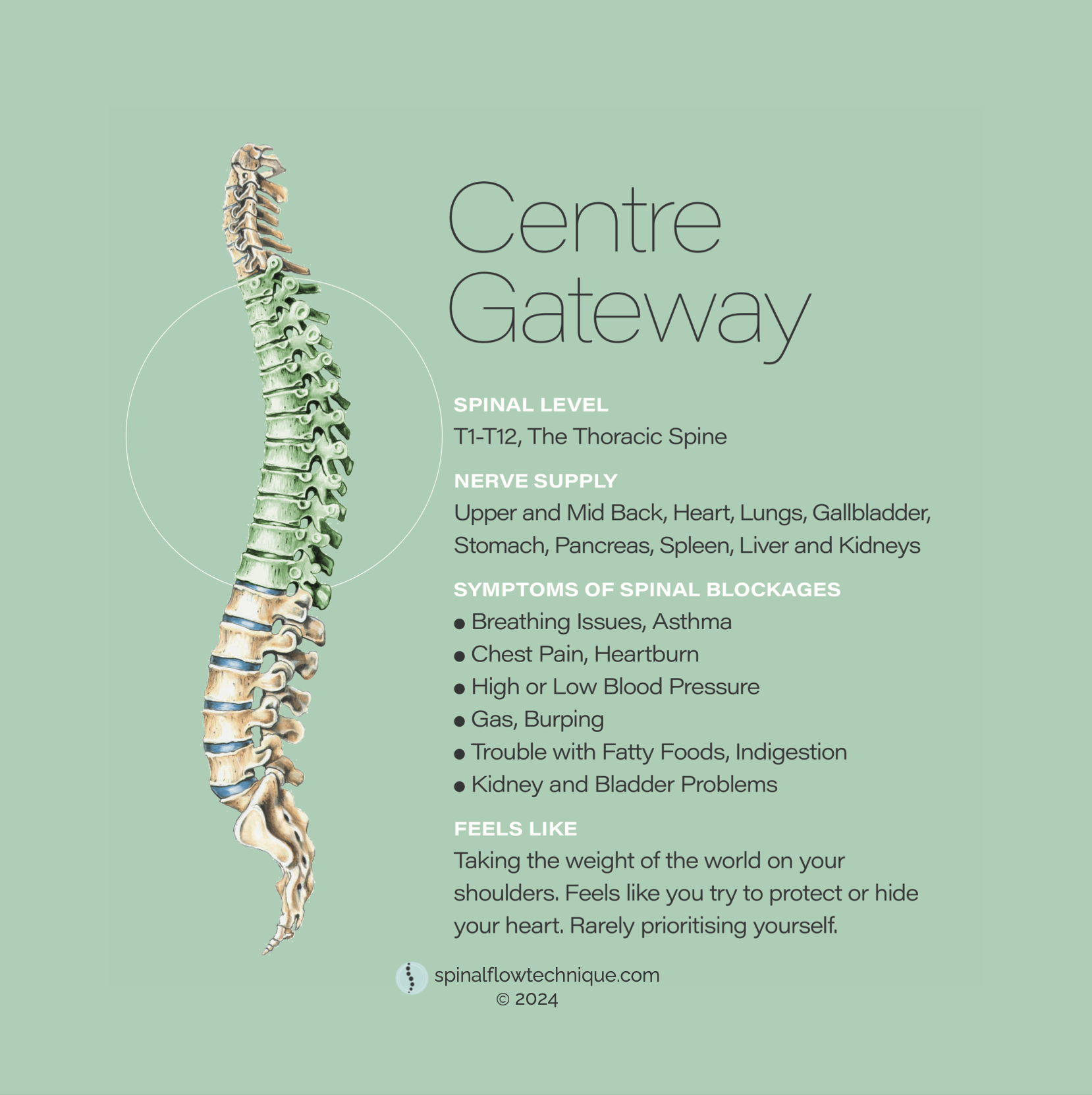 Spinal Flow Technique Centre Gateway