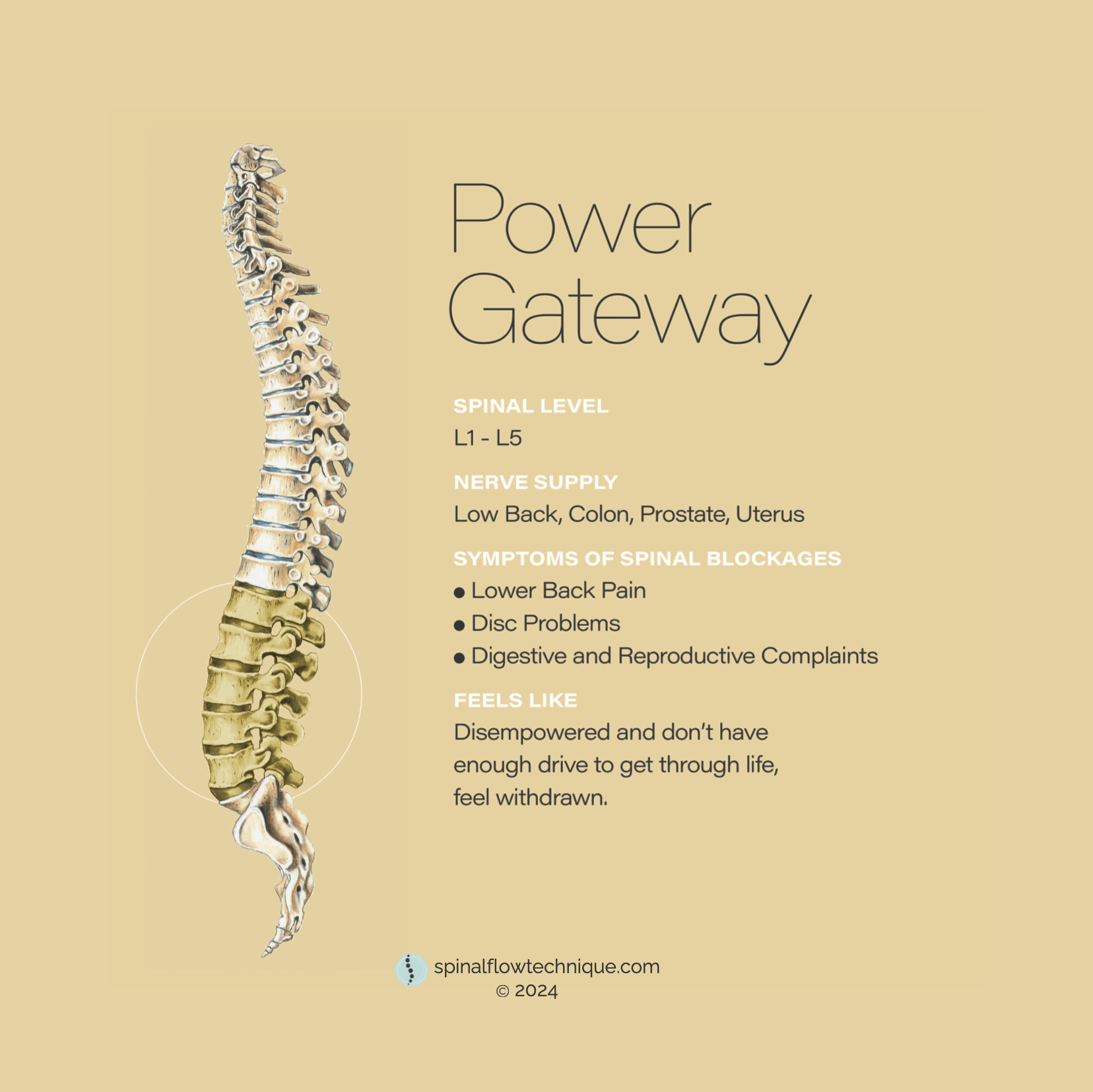 Spinal Flow Technique Power Gateway