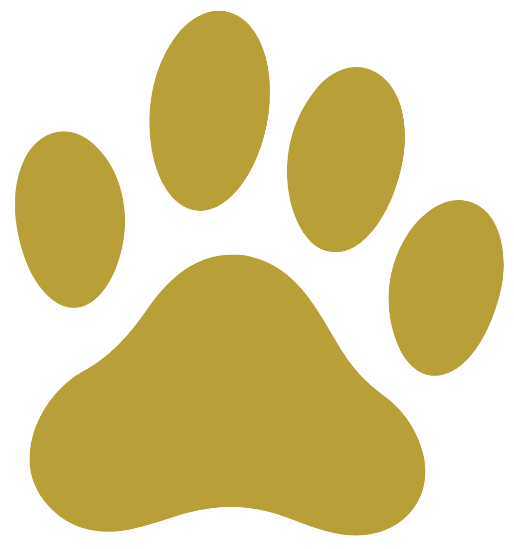 Gold paw print symbol on black background.