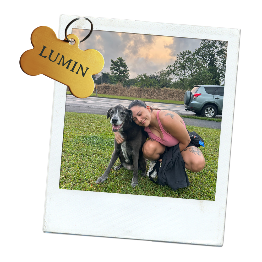 Dog and Human Bonding