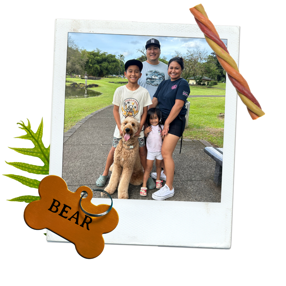 Family and large dog bonding at dog training