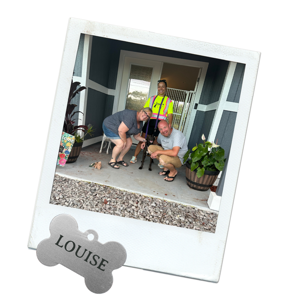 Happy dog owners with dog trainer 