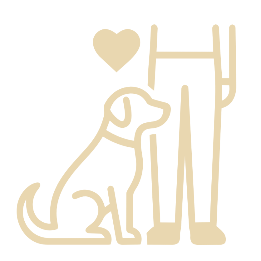 Dog and Pet Owner