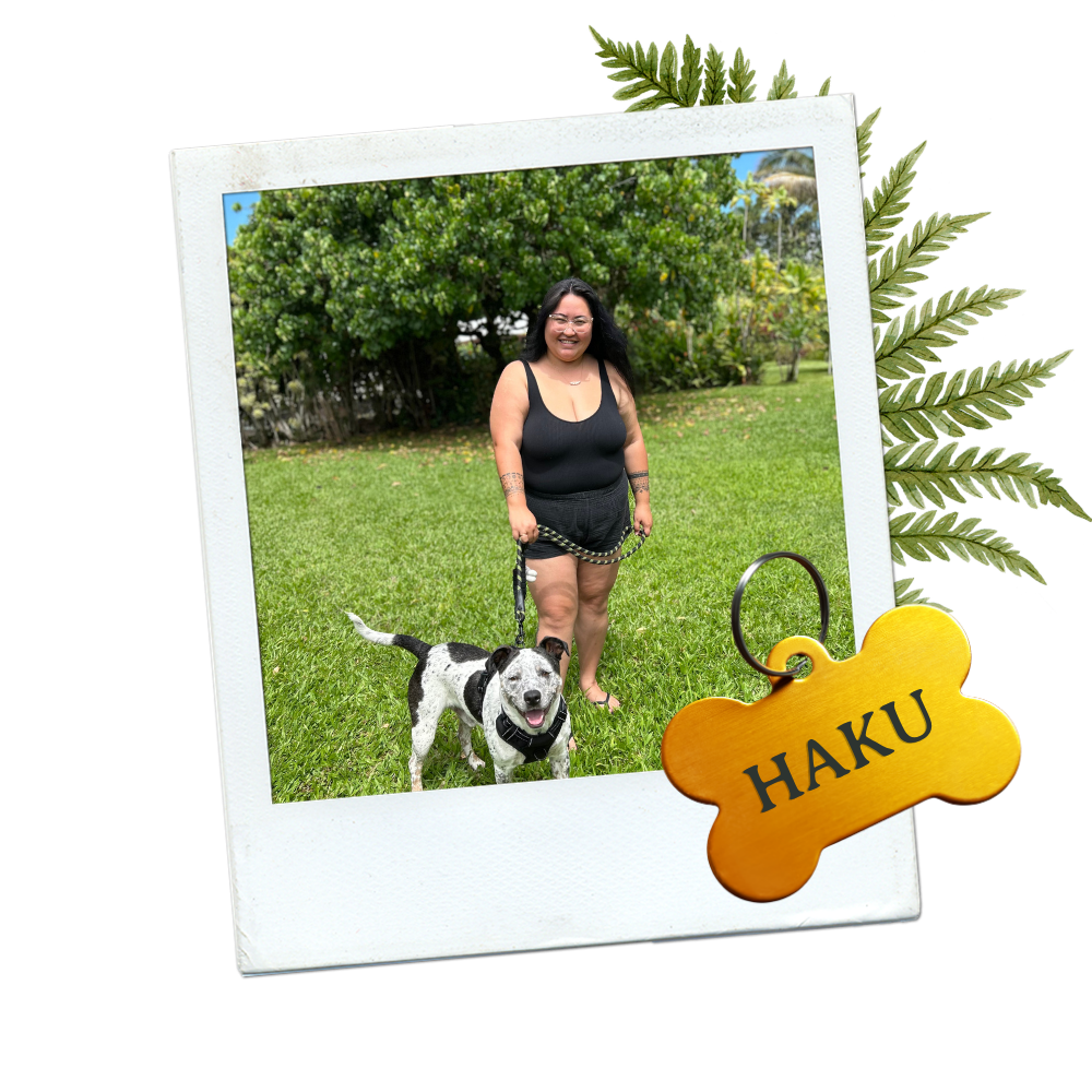 Woman and large well trained dog 