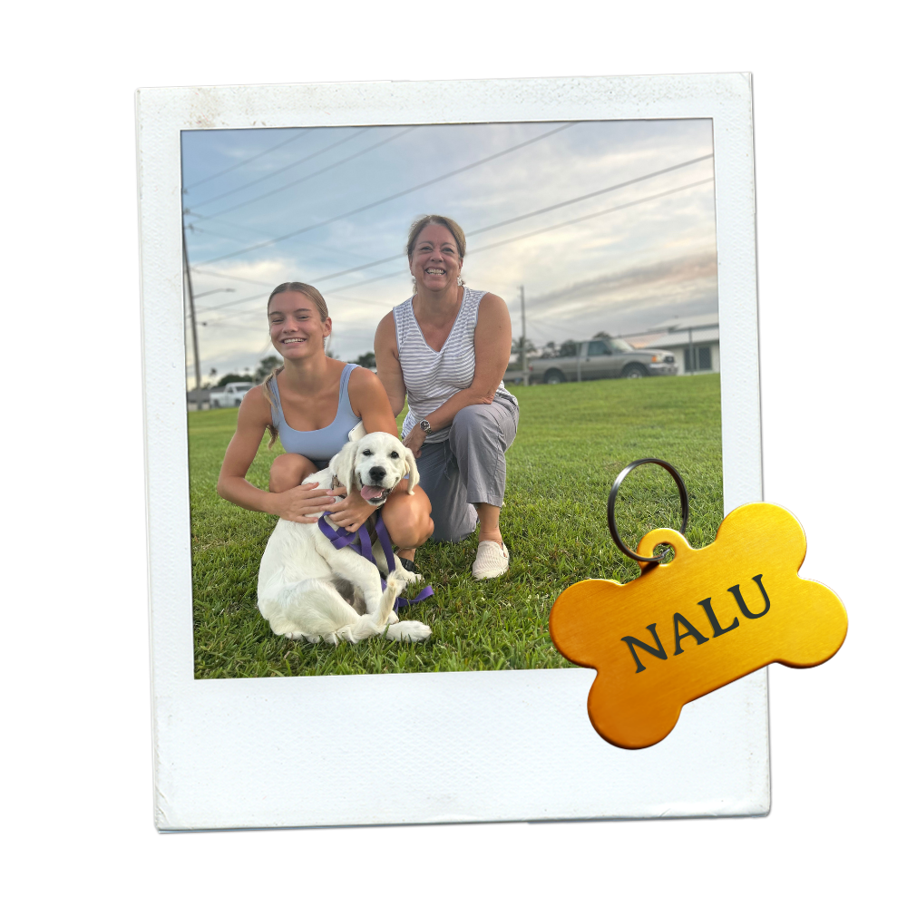 Family puppy training golden retriever