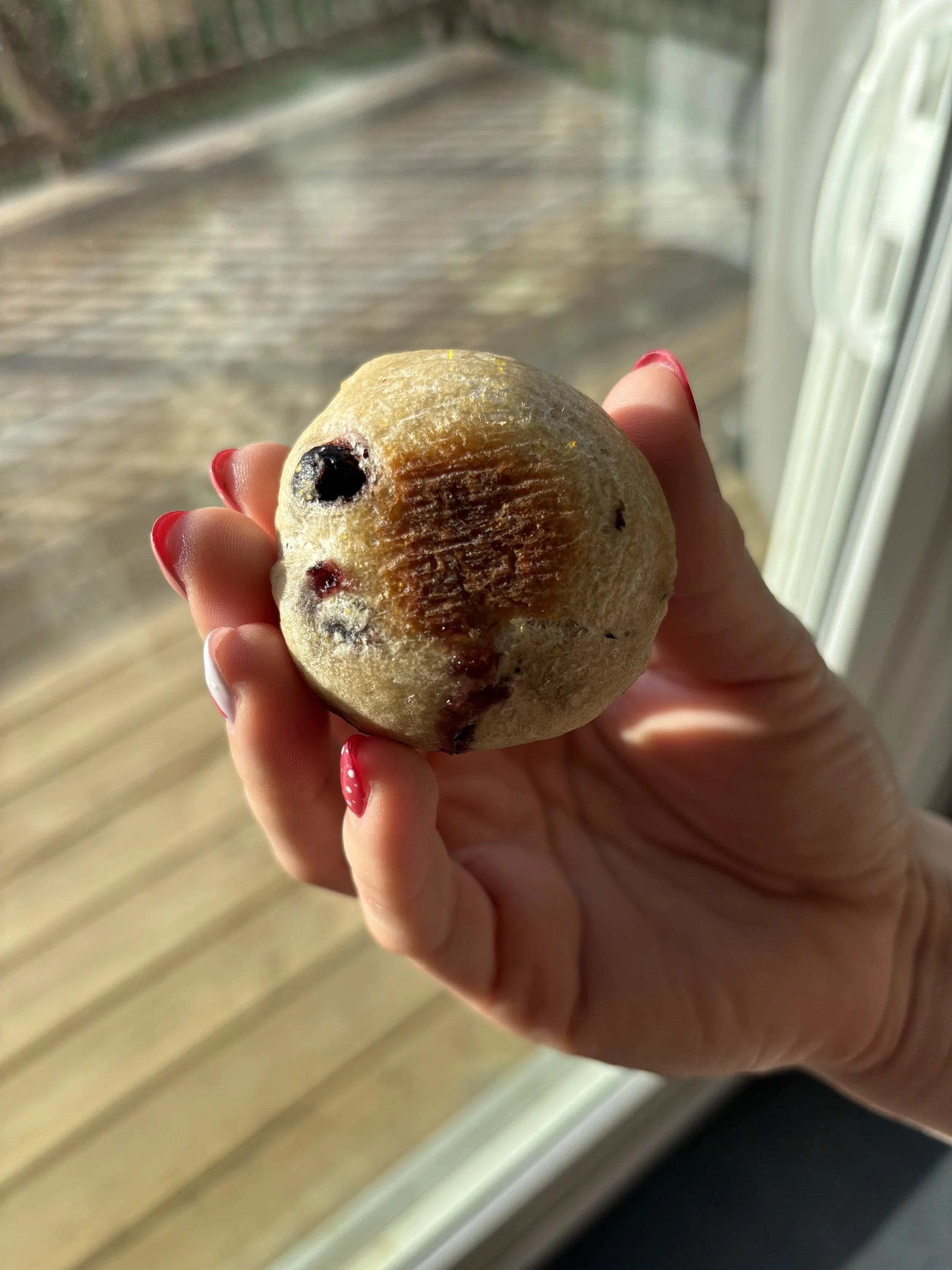 Boopberry Blueberry Poppers