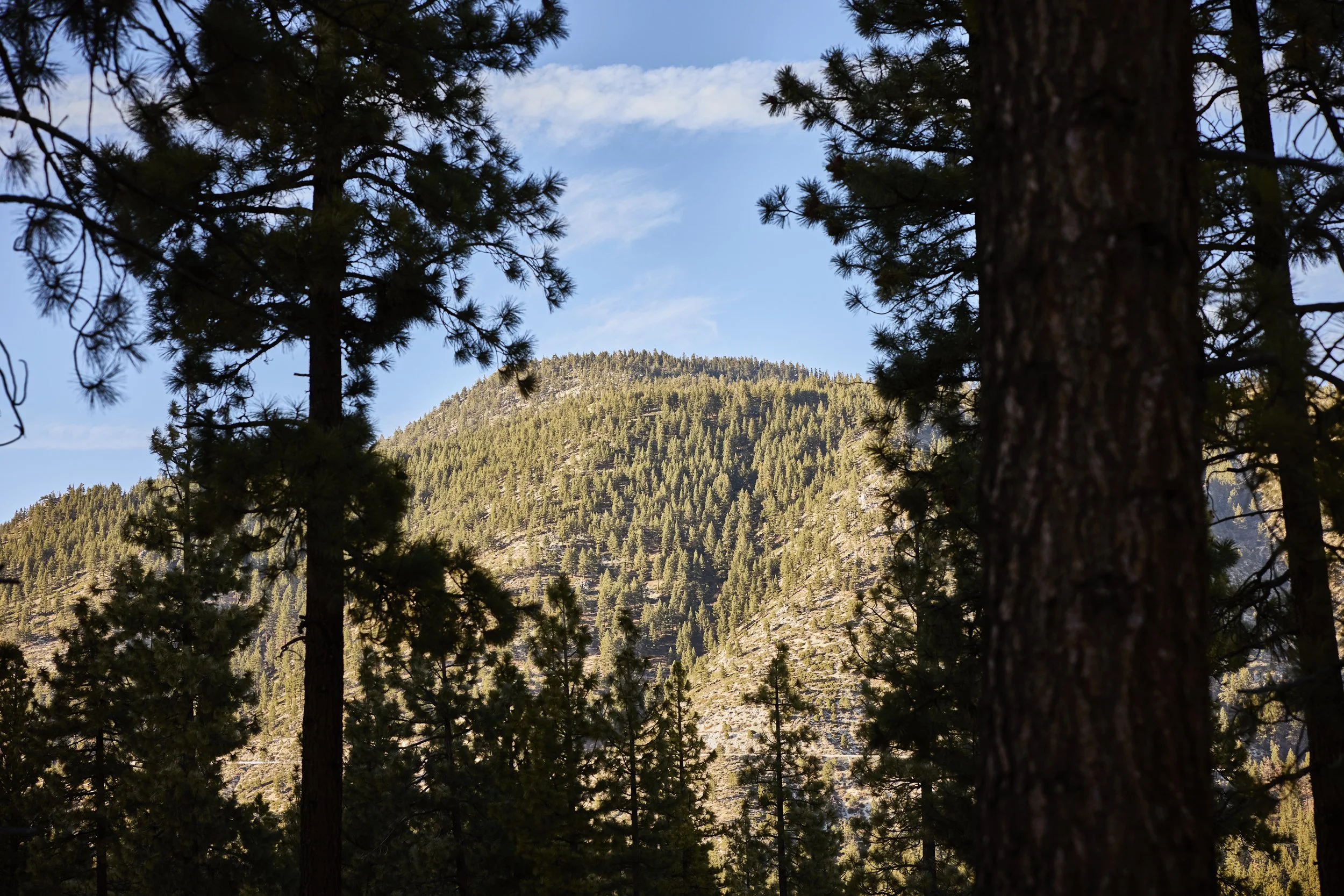 Tahoe Vista - Coming Soon