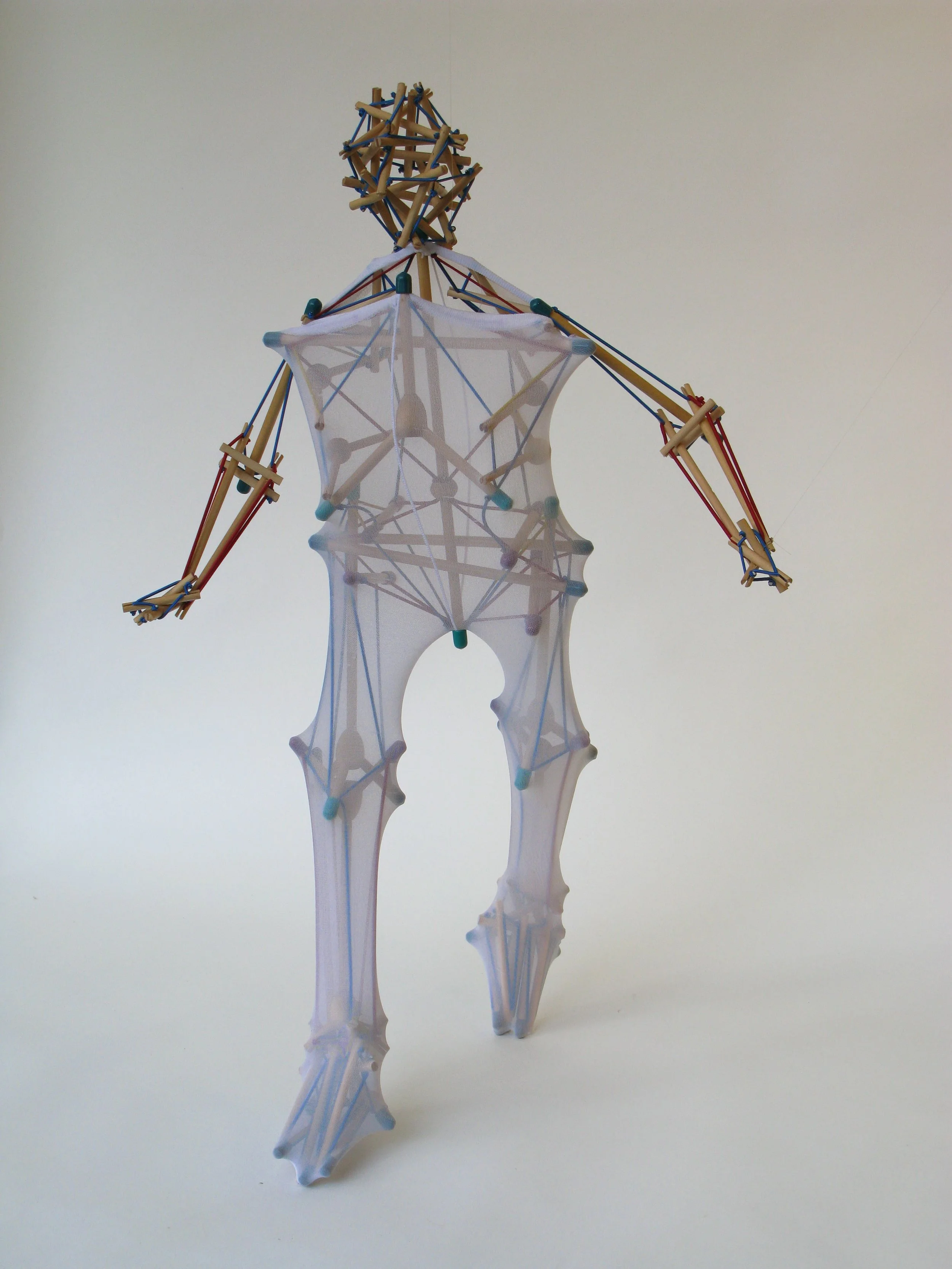 Biotensegrity model of person.