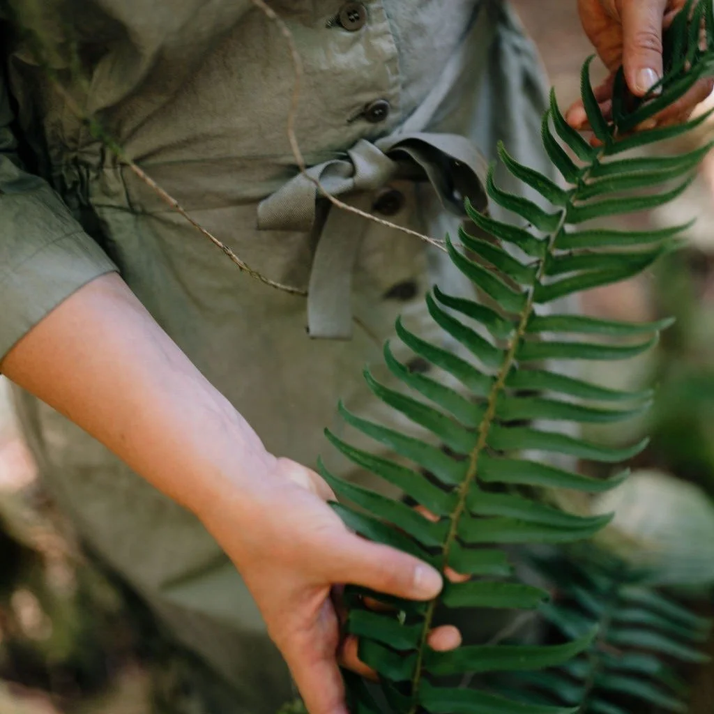 I live and work on Tseshaht and Hupačasath territory.

The land here holds memory the way bodies hold memory - in the roots, in the soil, in the waters - in what refused to be forgotten.

The peoples of this place were told their ways of knowing were