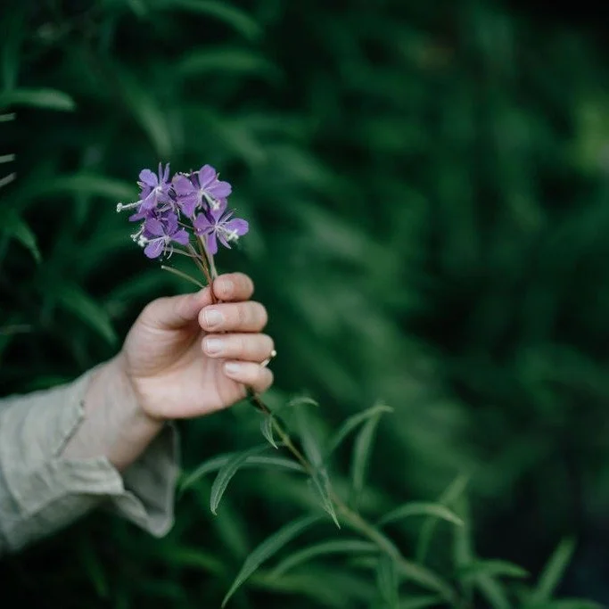 This is what the work looks like.

Not fixing. Not forcing.

Just learning to hold what's already growing.