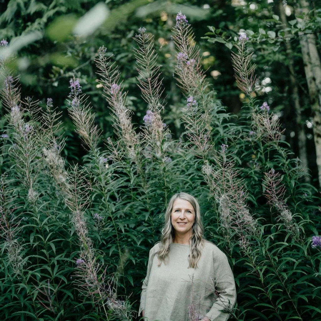 There is a difference between learning and remembering.

Learning says: you don't have this yet.
Remembering says: you never lost it.

The land doesn't learn how to heal after fire. It remembers.

Basic Human is built on the belief that you can too -