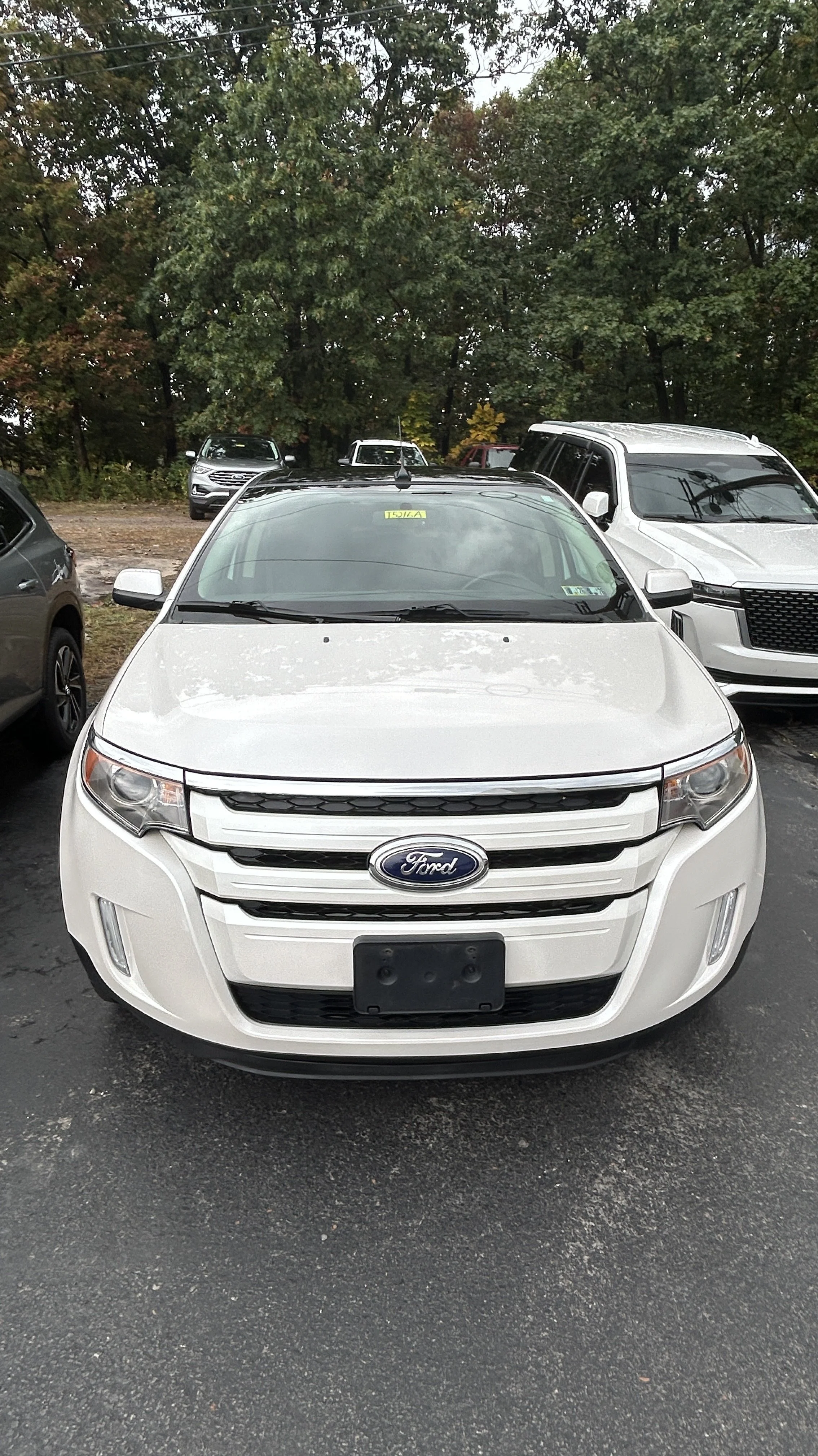 A white Ford SUV parked in a parking lot with other vehicles and trees in the background.