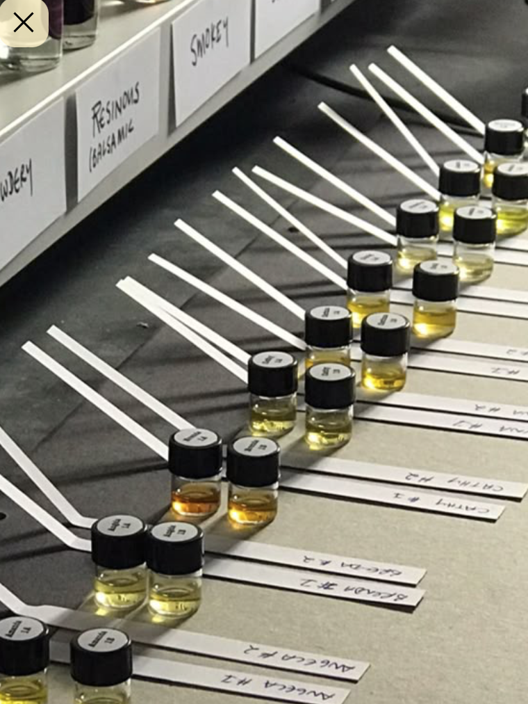 Sample test strips and small bottles of oils arranged on a table for fragrance or essential oil testing, with labels on the associated containers.