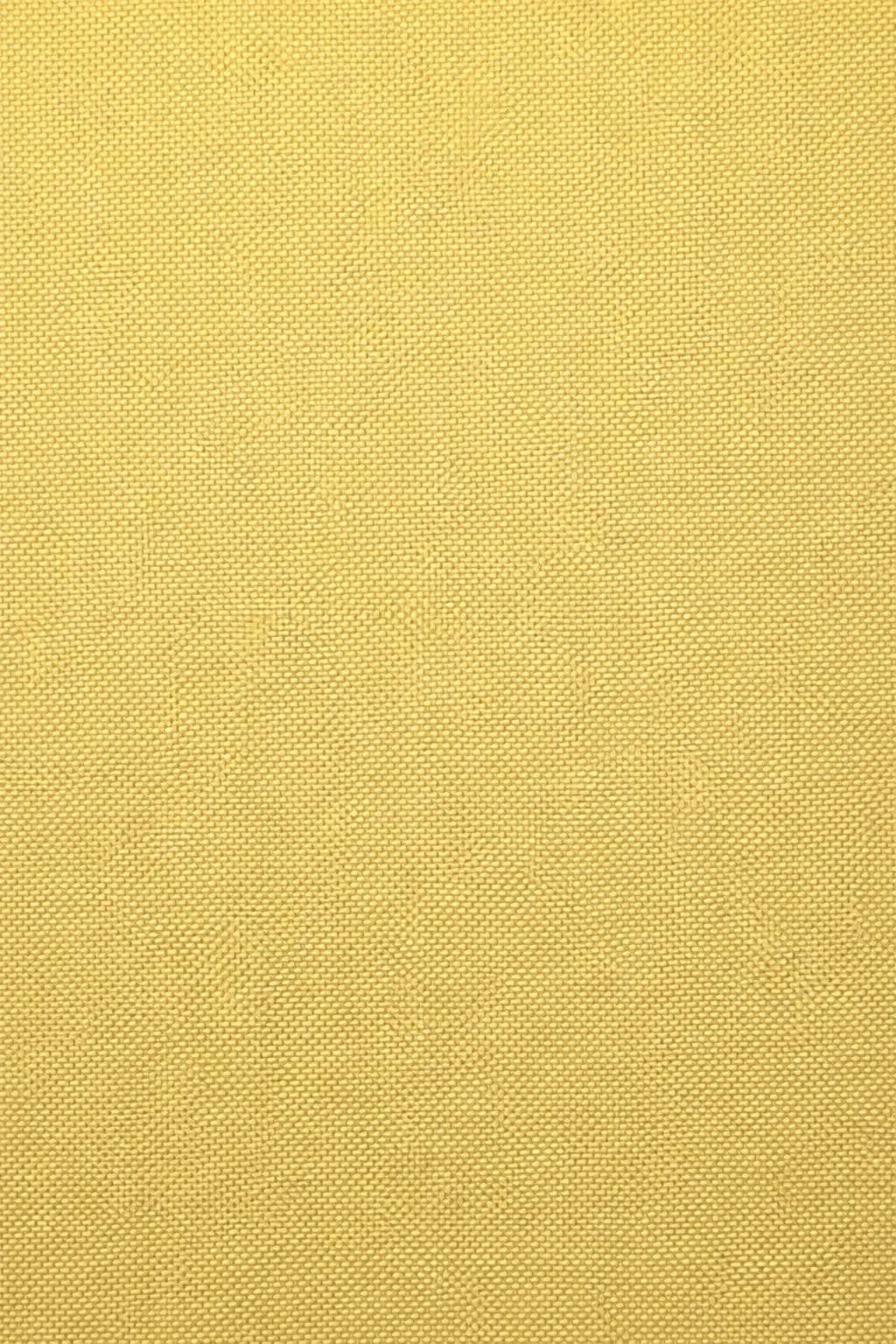 5202
