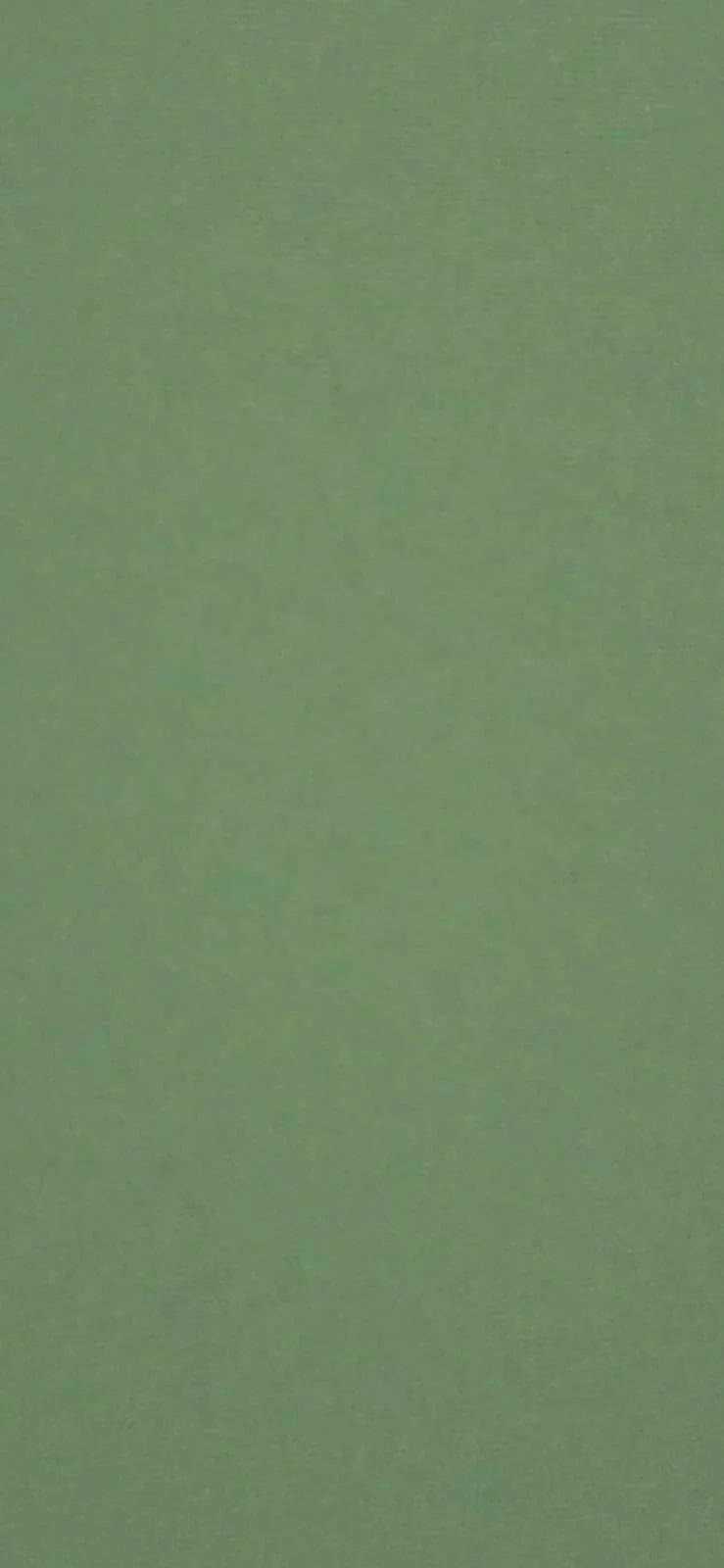 Solid light green surface, possibly a wall or piece of paper.