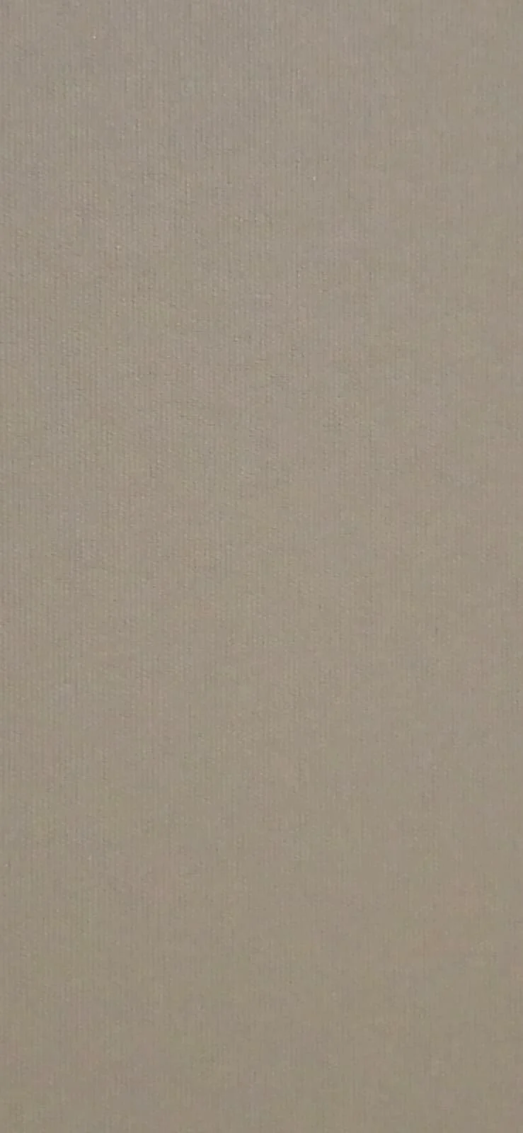 Close-up of a light-colored textured fabric or wall surface.