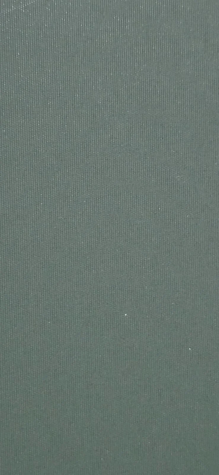 Close-up view of a grey textured surface with tiny bumps and irregularities.