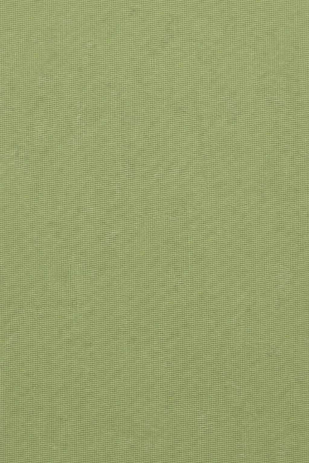 5209