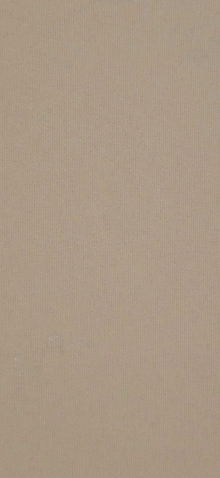 Close-up of beige fabric with visible weave texture.