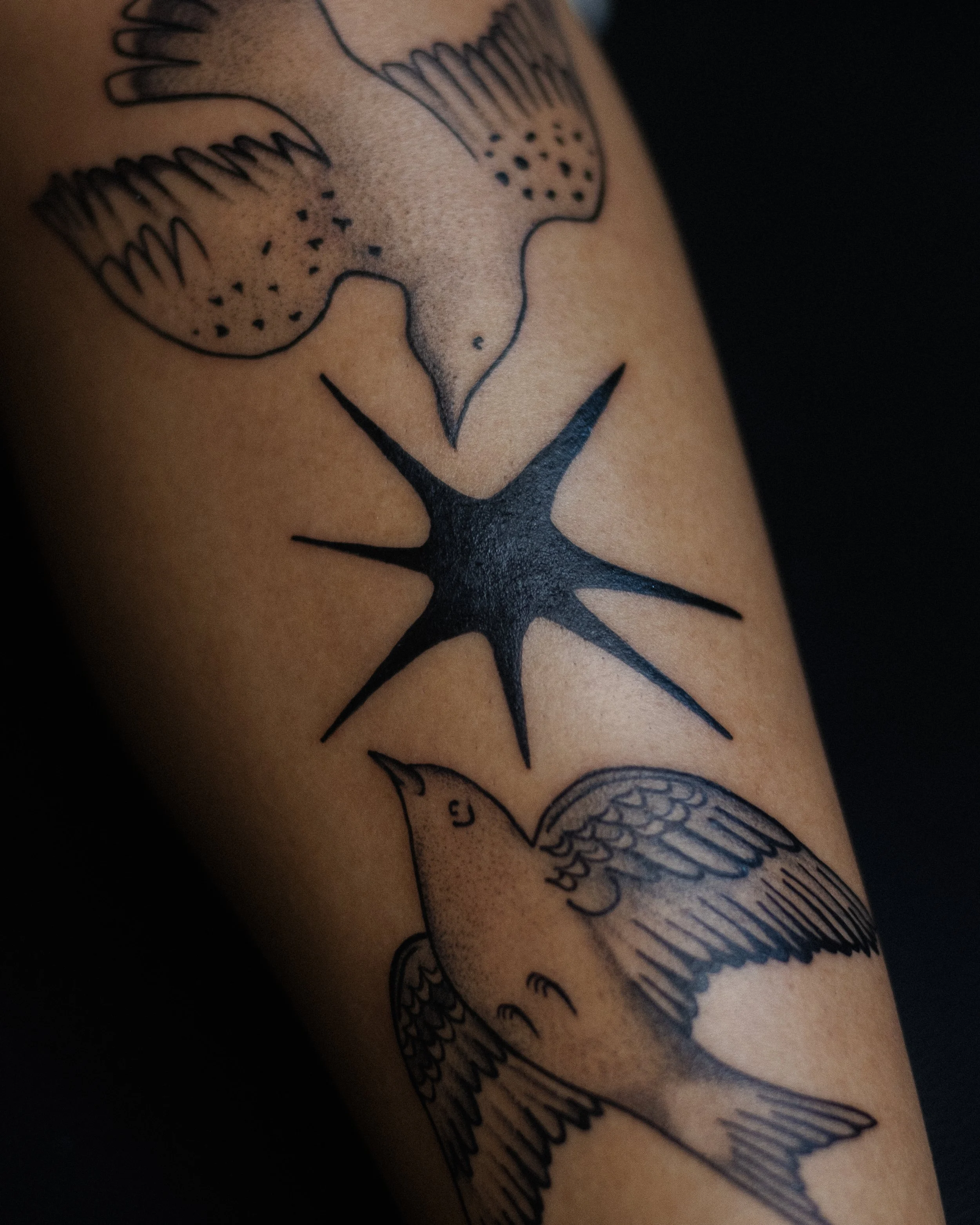 Birds and black star tattoo by Amador Z on a leg