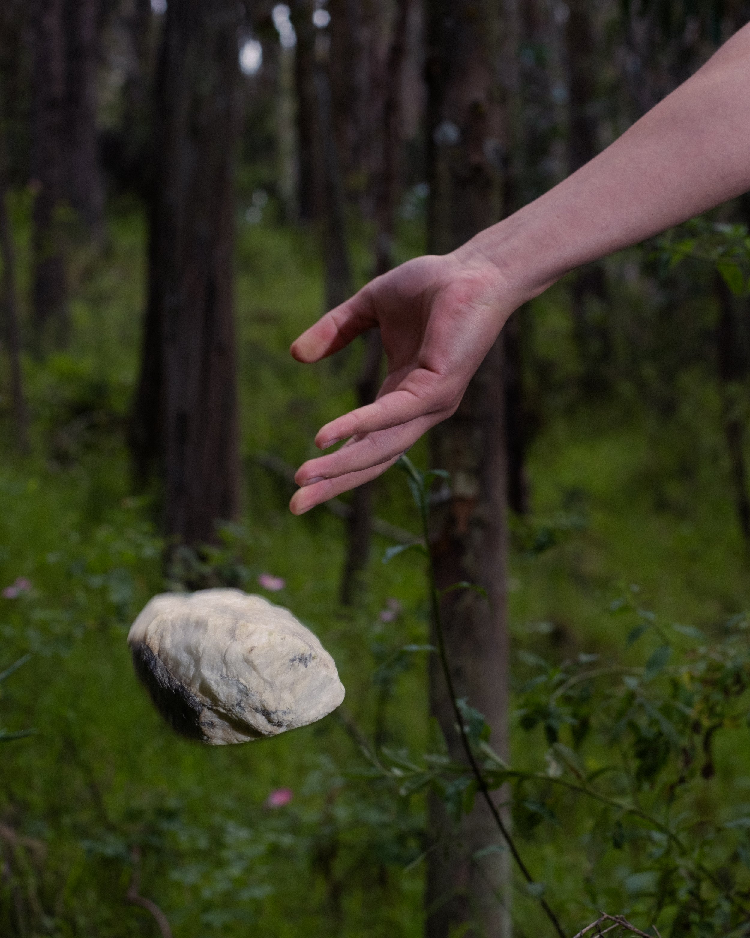 Conceptual photograph by Amador Z of a hand dropping a stone in a forest