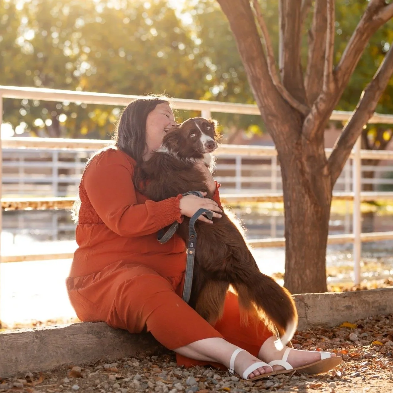 Pet Sitting Services