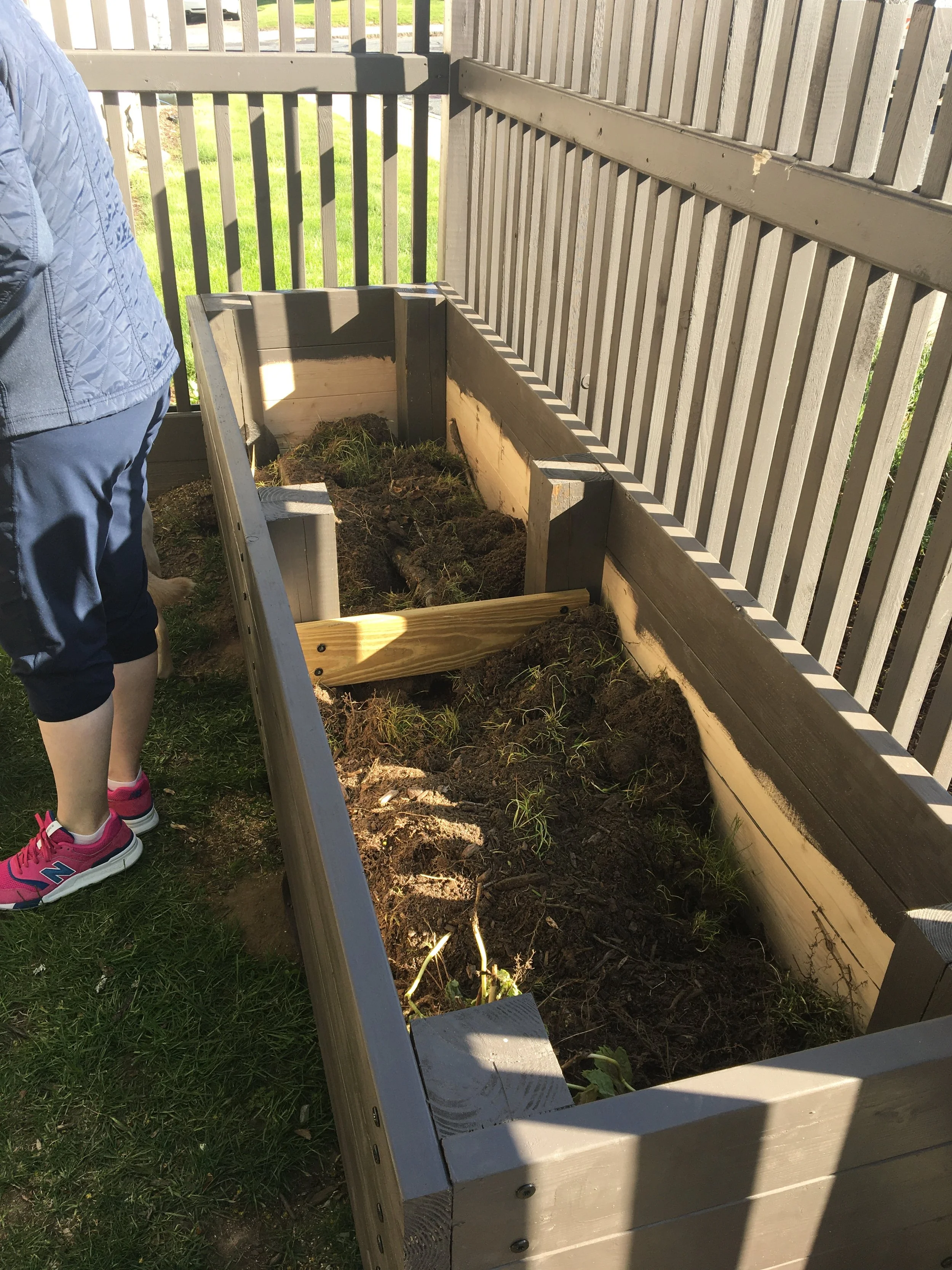A person standing next to a raised garden bed with soil and small plants in it, located outdoors on a grassy area enclosed by a wooden fence.
