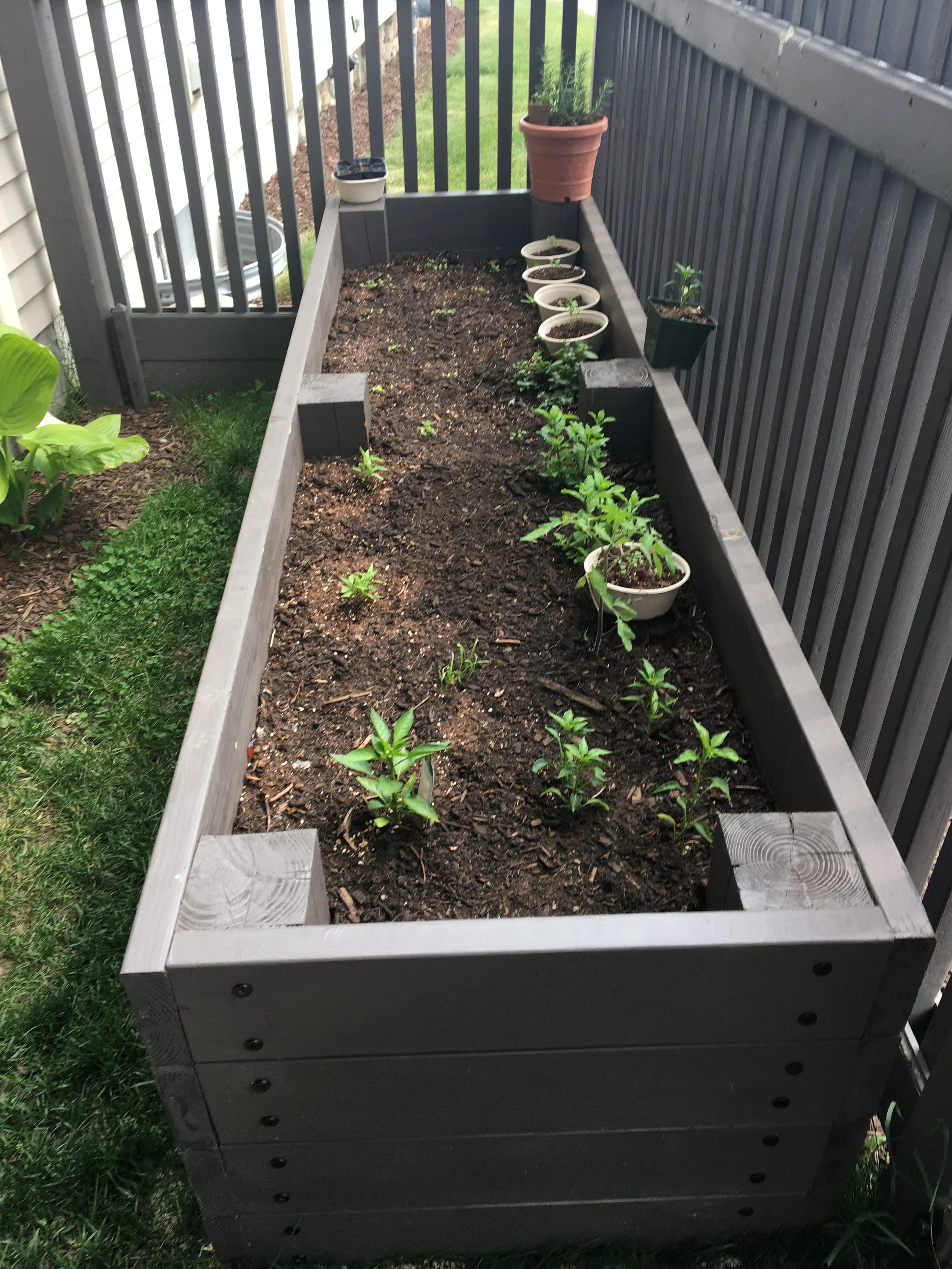 A raised garden bed with small plants and seedlings, some in pots, located on a deck with a fence.