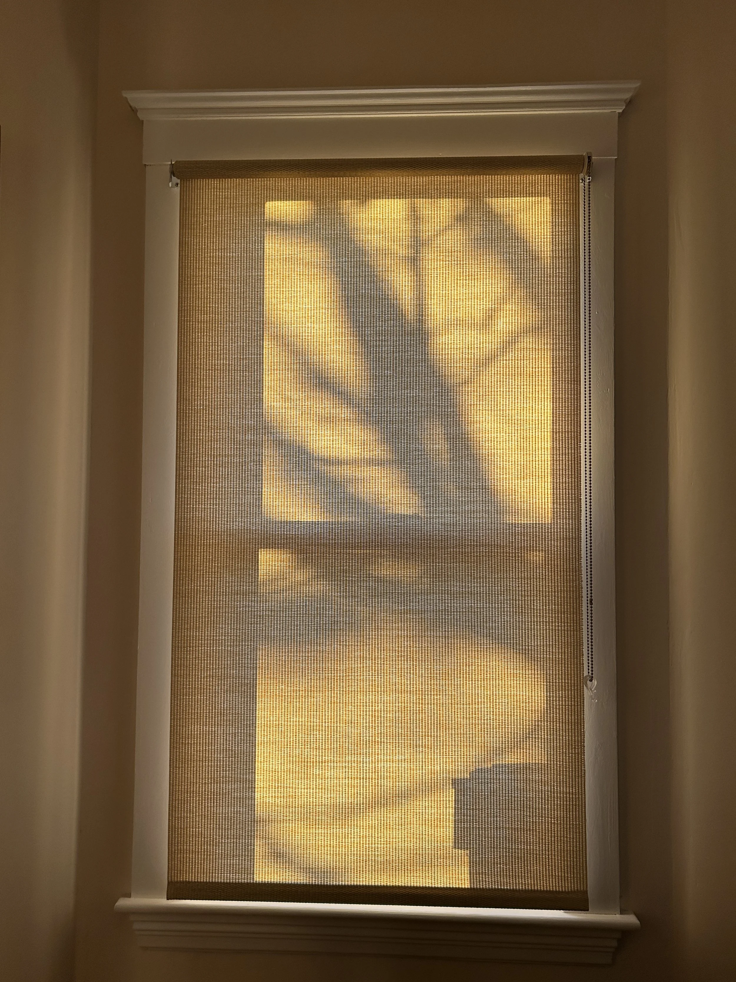 View of a city skyline through a window blind with sunlight casting shadows of tree branches inside a room.