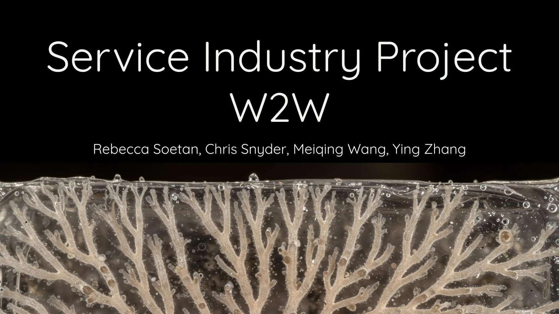 Service Industry Project