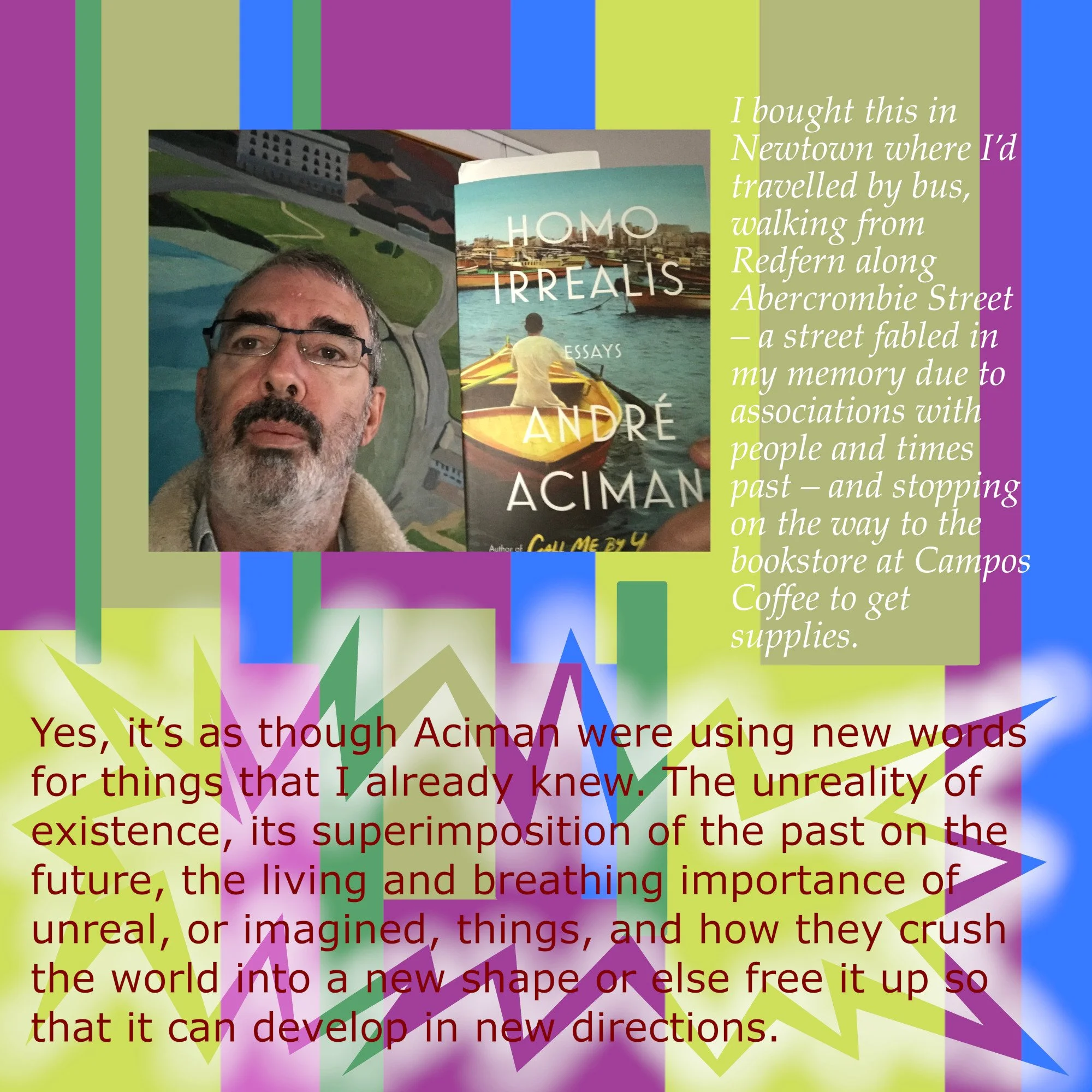 Homo Irrealis: Andre Aciman Book Cover