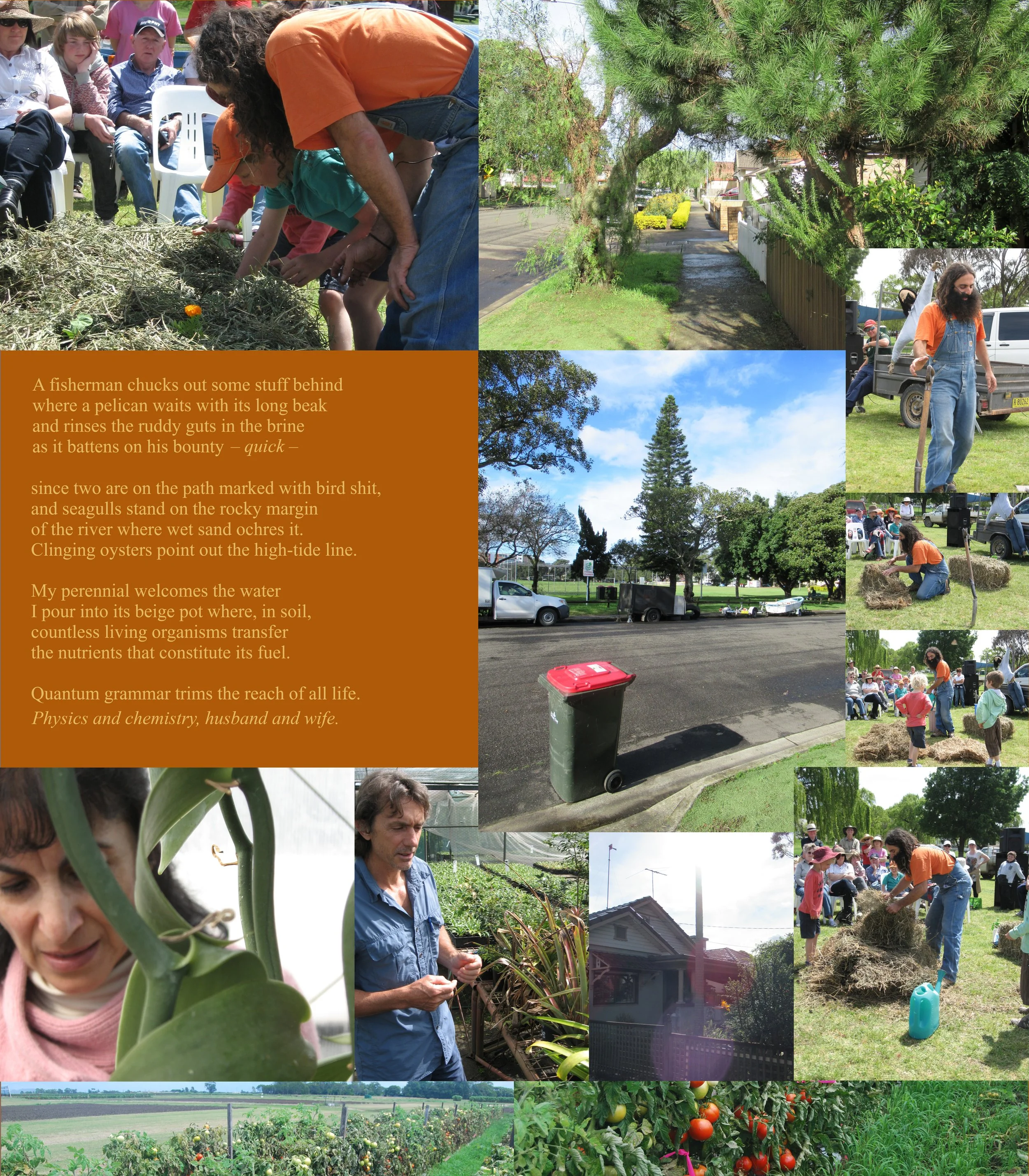 A Domestic Arrangment