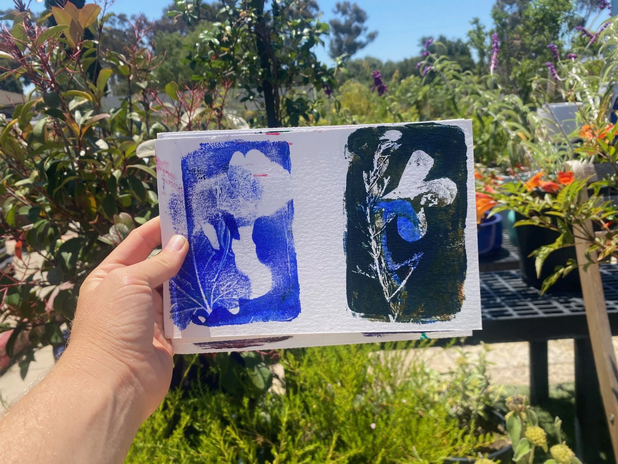 Monarch Festival at Mission Hills Nursery