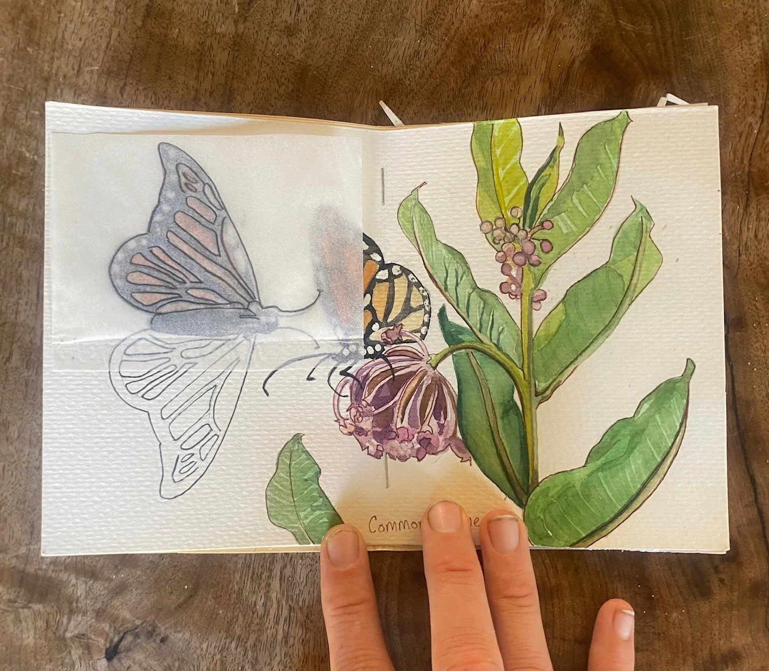 Butterfly Symmetry and Bug Bookmarks