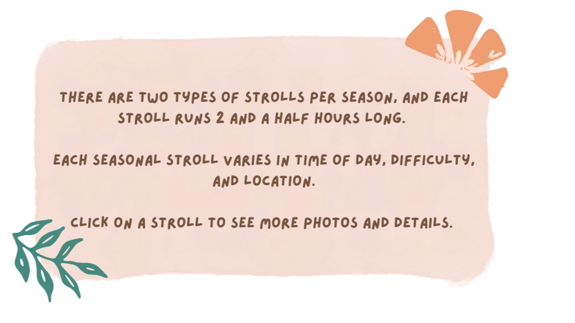 A promotional sign with handwritten-style text about seasonal strollers, featuring decorative leaves and a brown paper bag illustration in the top right corner.