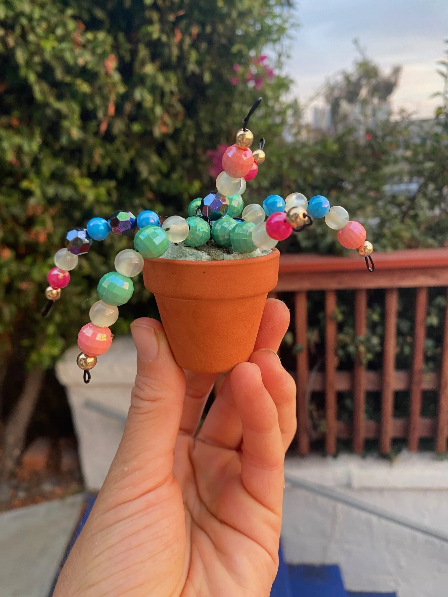 Succulent Jewels